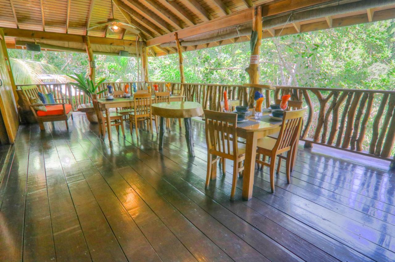 Zimbali Culinary Retreats Villa Negril Eksteriør billede