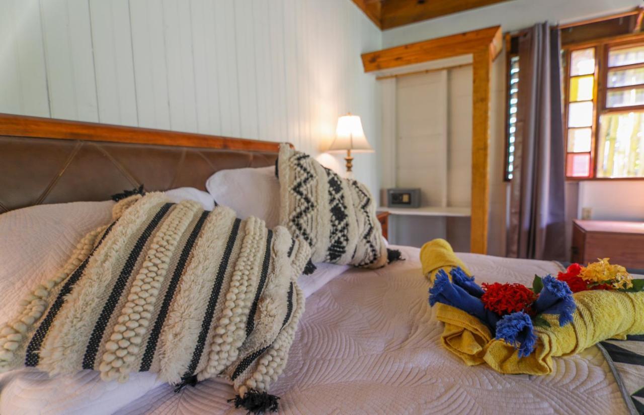 Zimbali Culinary Retreats Villa Negril Eksteriør billede