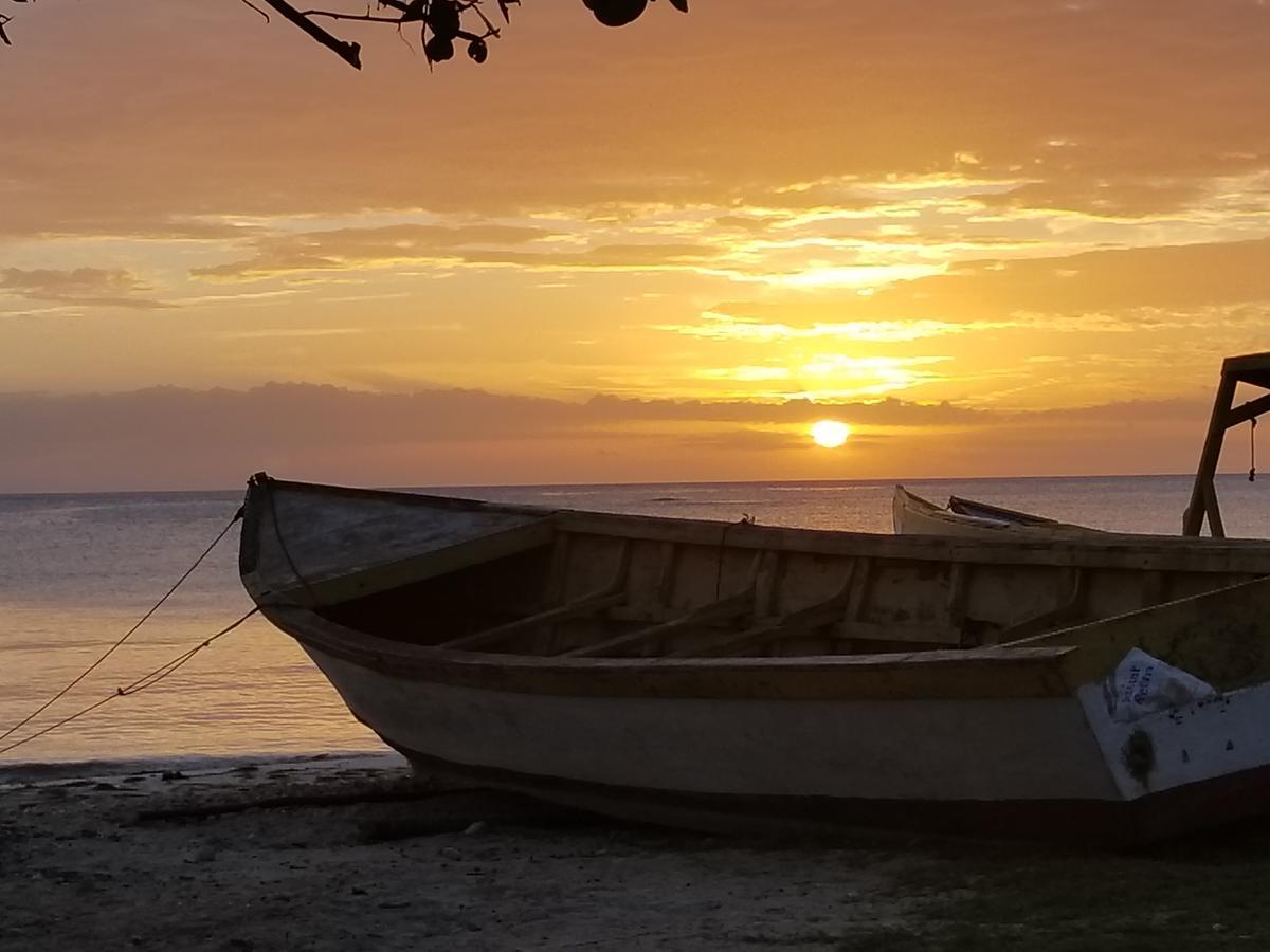 Zimbali Culinary Retreats Villa Negril Eksteriør billede