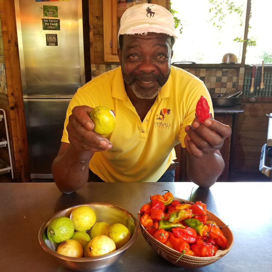 Zimbali Culinary Retreats Villa Negril Eksteriør billede