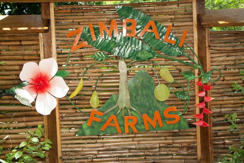 Zimbali Culinary Retreats Villa Negril Eksteriør billede