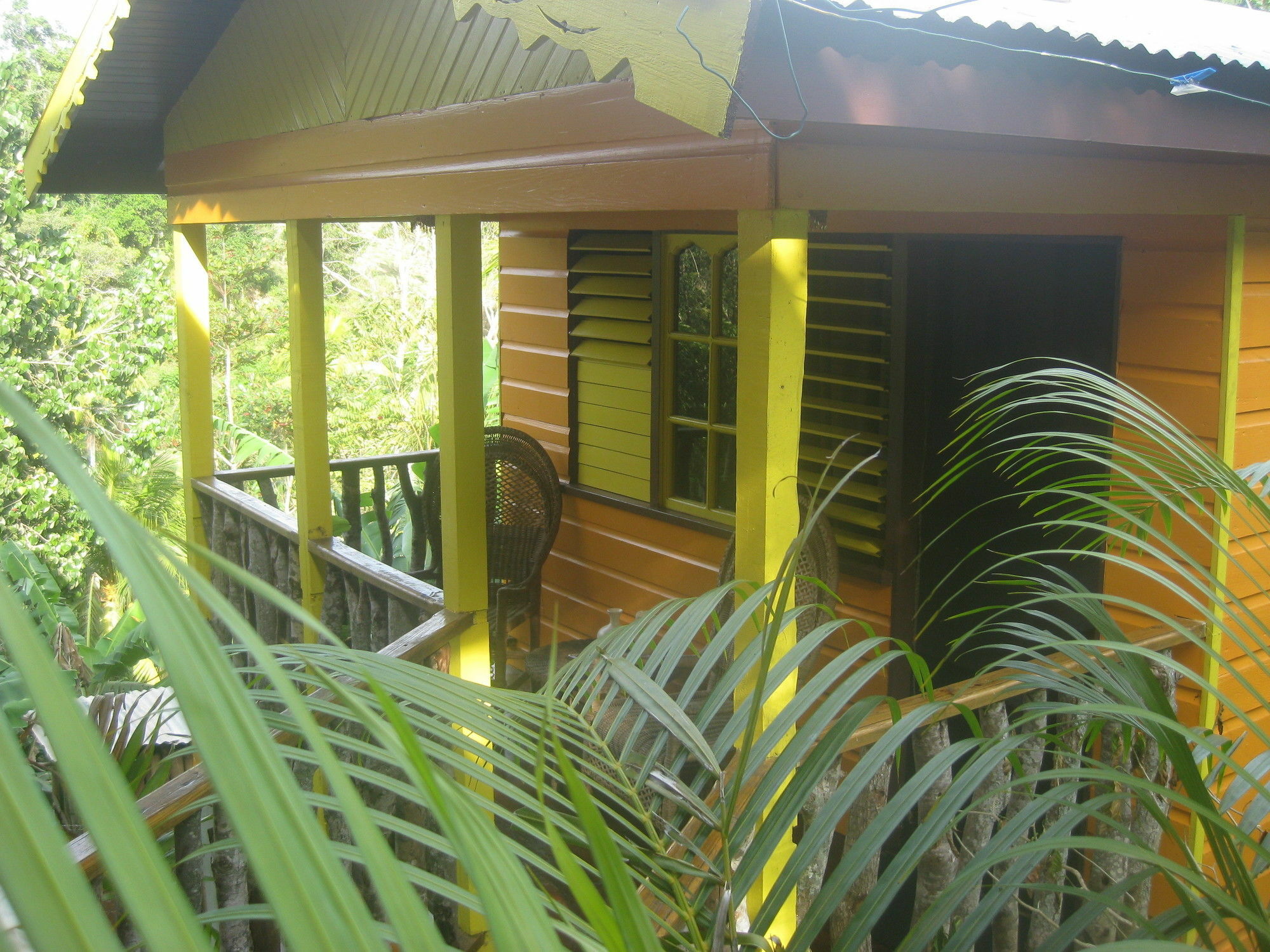 Zimbali Culinary Retreats Villa Negril Eksteriør billede