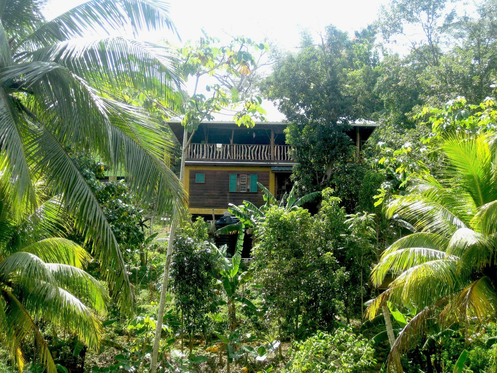 Zimbali Culinary Retreats Villa Negril Eksteriør billede
