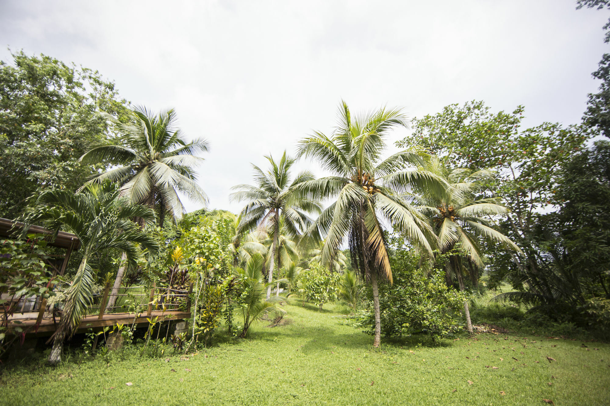 Zimbali Culinary Retreats Villa Negril Eksteriør billede