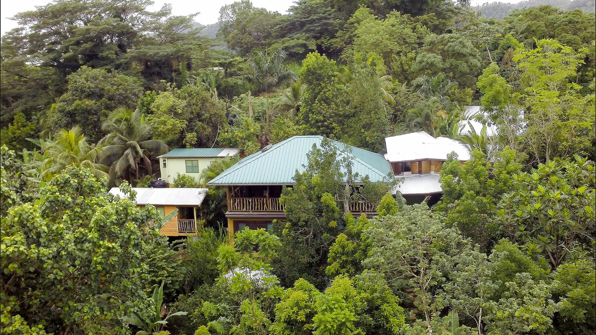 Zimbali Culinary Retreats Villa Negril Eksteriør billede